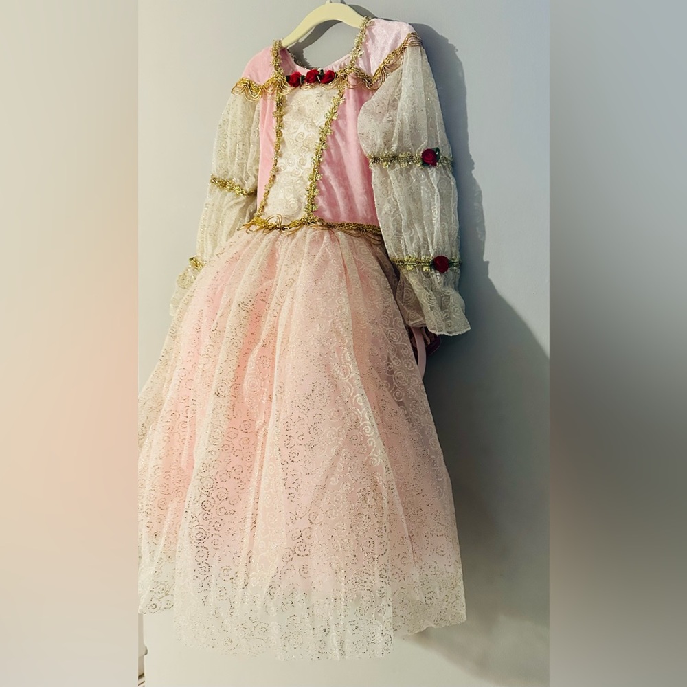 Girls Pink Princess Costume Dress with Gold Trim, Red Floral - Picture 5 of 9